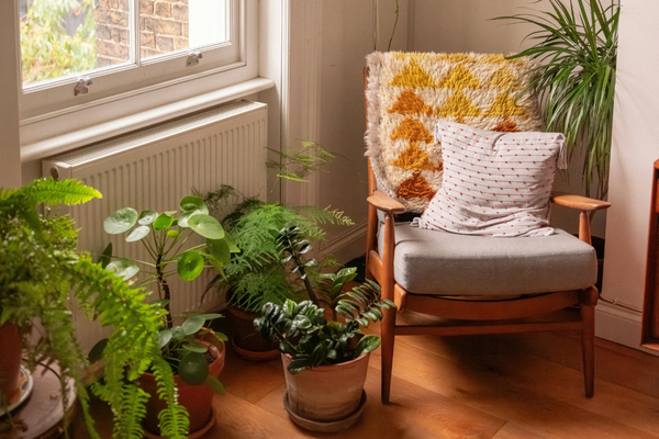 Rooted in Style: Simple Ways to Create a Healthier, Happier Plant Corner at Home