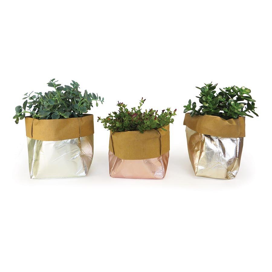 IS Gift Bags of Potential Silver For Plants and Fruits