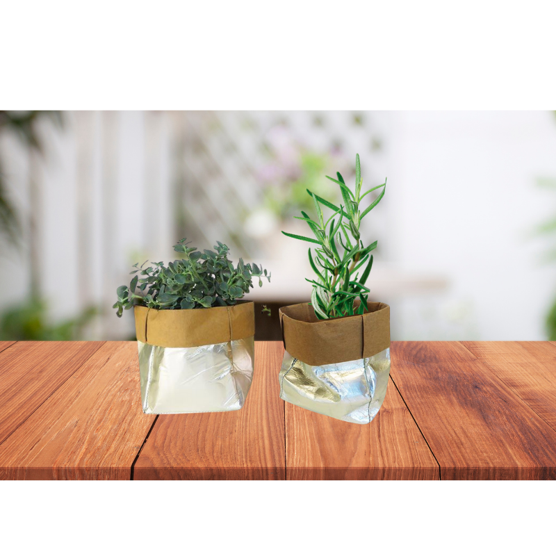 IS Gift Bags of Potential Silver For Plants and Fruits