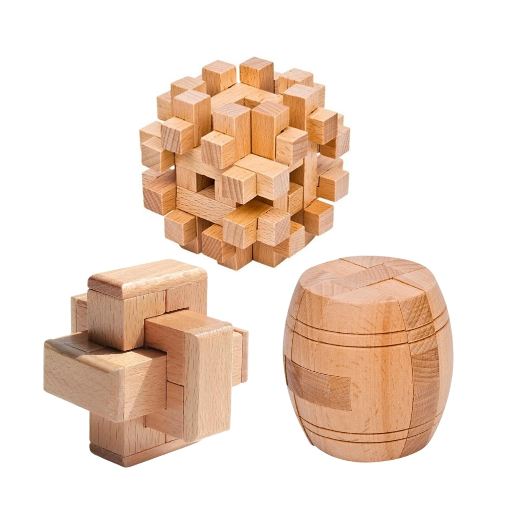 Brain Teaser Wooden Puzzles (Set of 3)