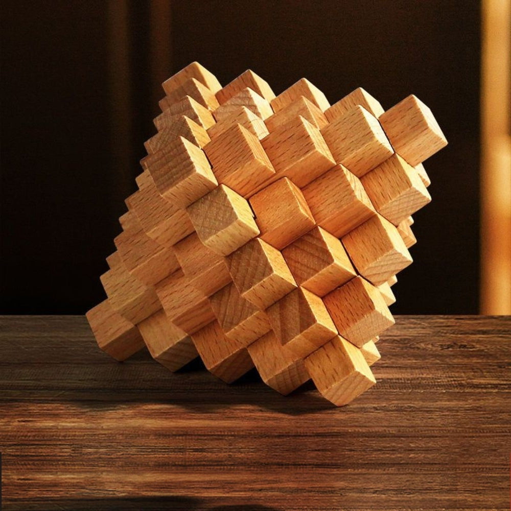 Brain Teaser Wooden Puzzles (Set of 3)