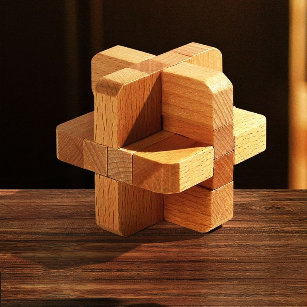 Brain Teaser Wooden Puzzles (Set of 3)
