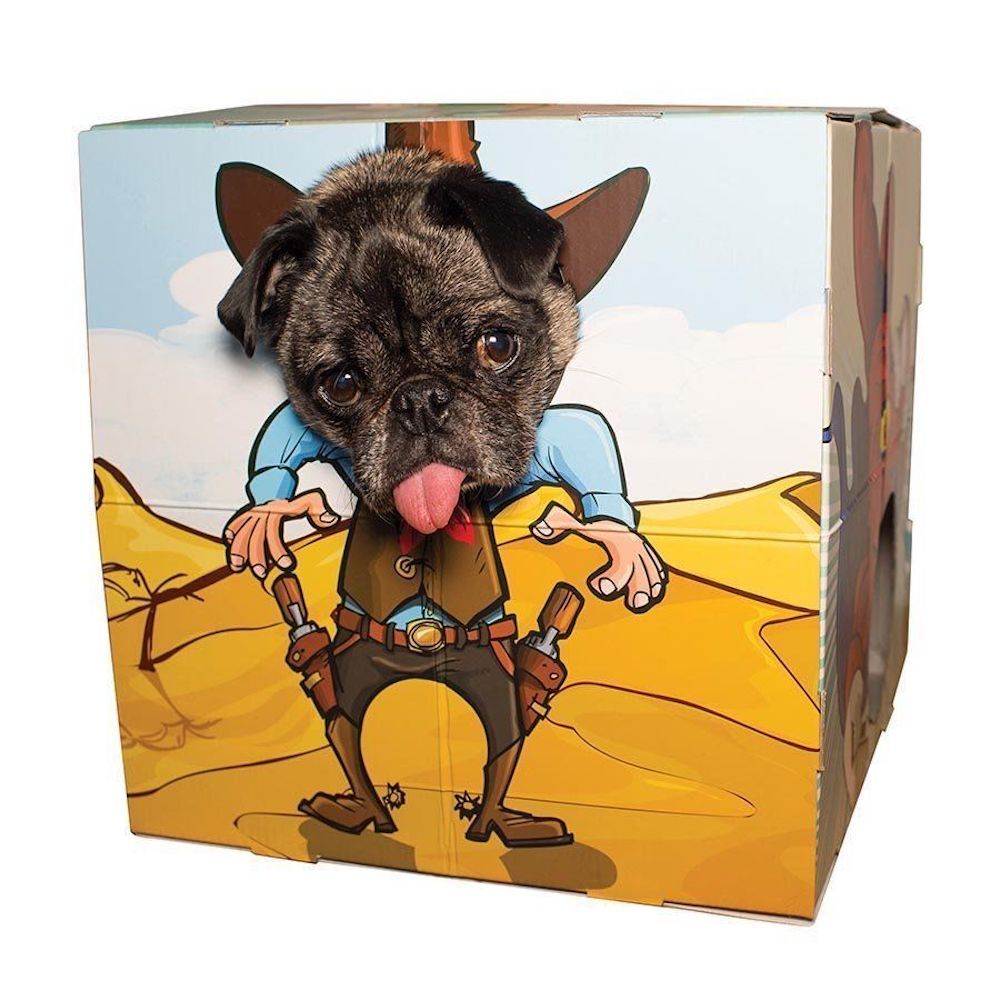 Animal Adventures Pet Photo Booth Frame for Cats and Small Dogs