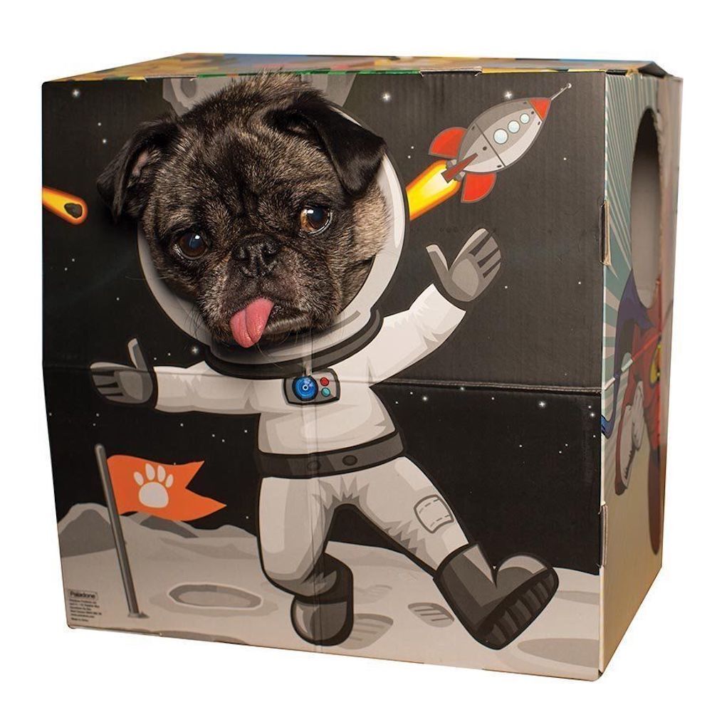 Animal Adventures Pet Photo Booth Frame for Cats and Small Dogs
