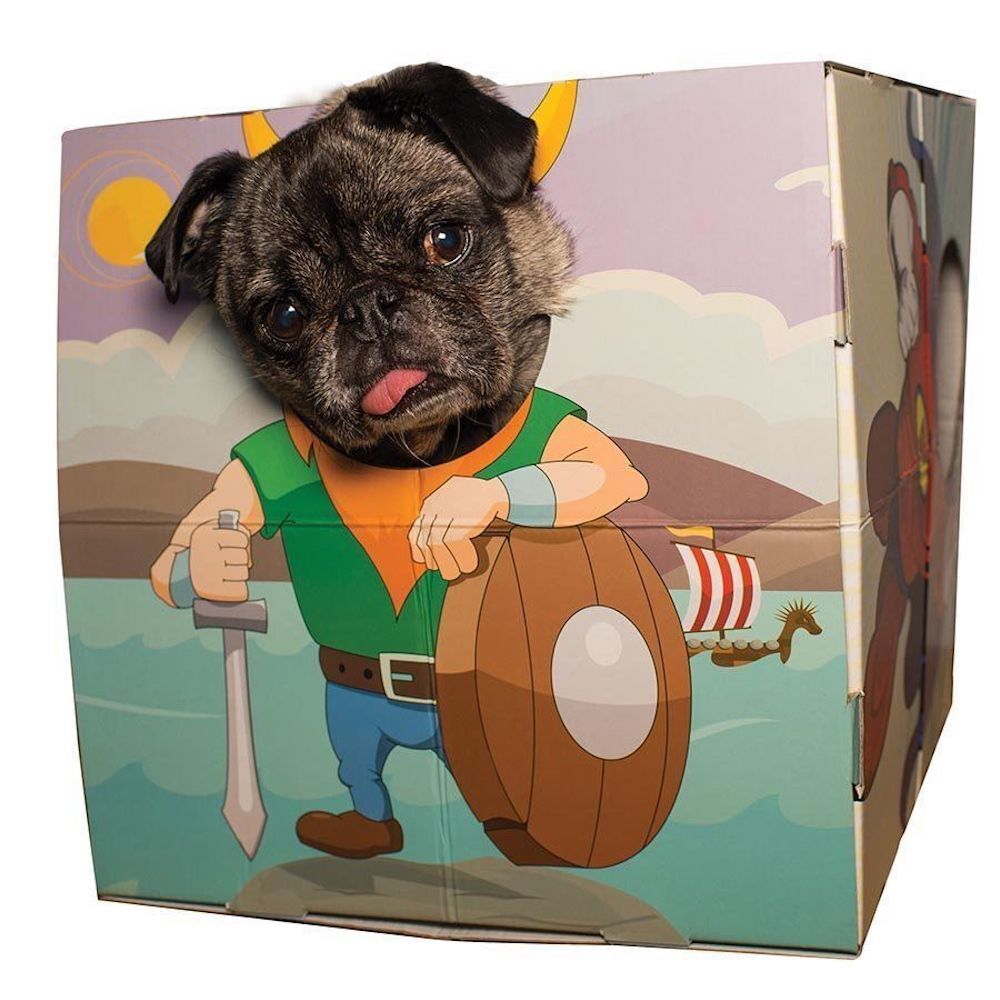Animal Adventures Pet Photo Booth Frame for Cats and Small Dogs