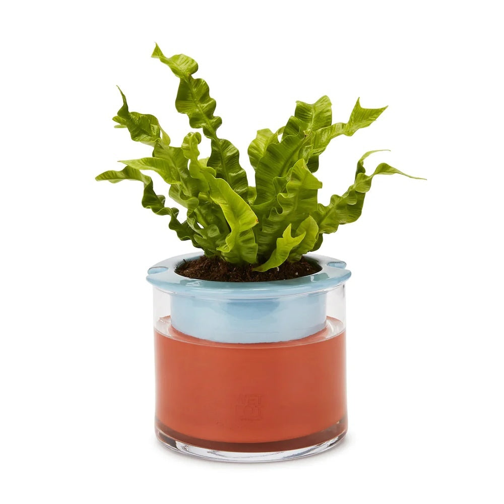 MoMA Wet Pot Colourful S Light Blue