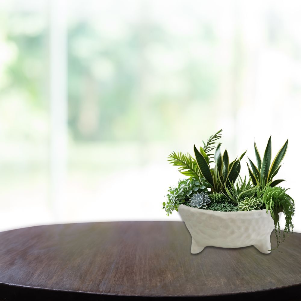 Rogue Textured Cement Footed Planter