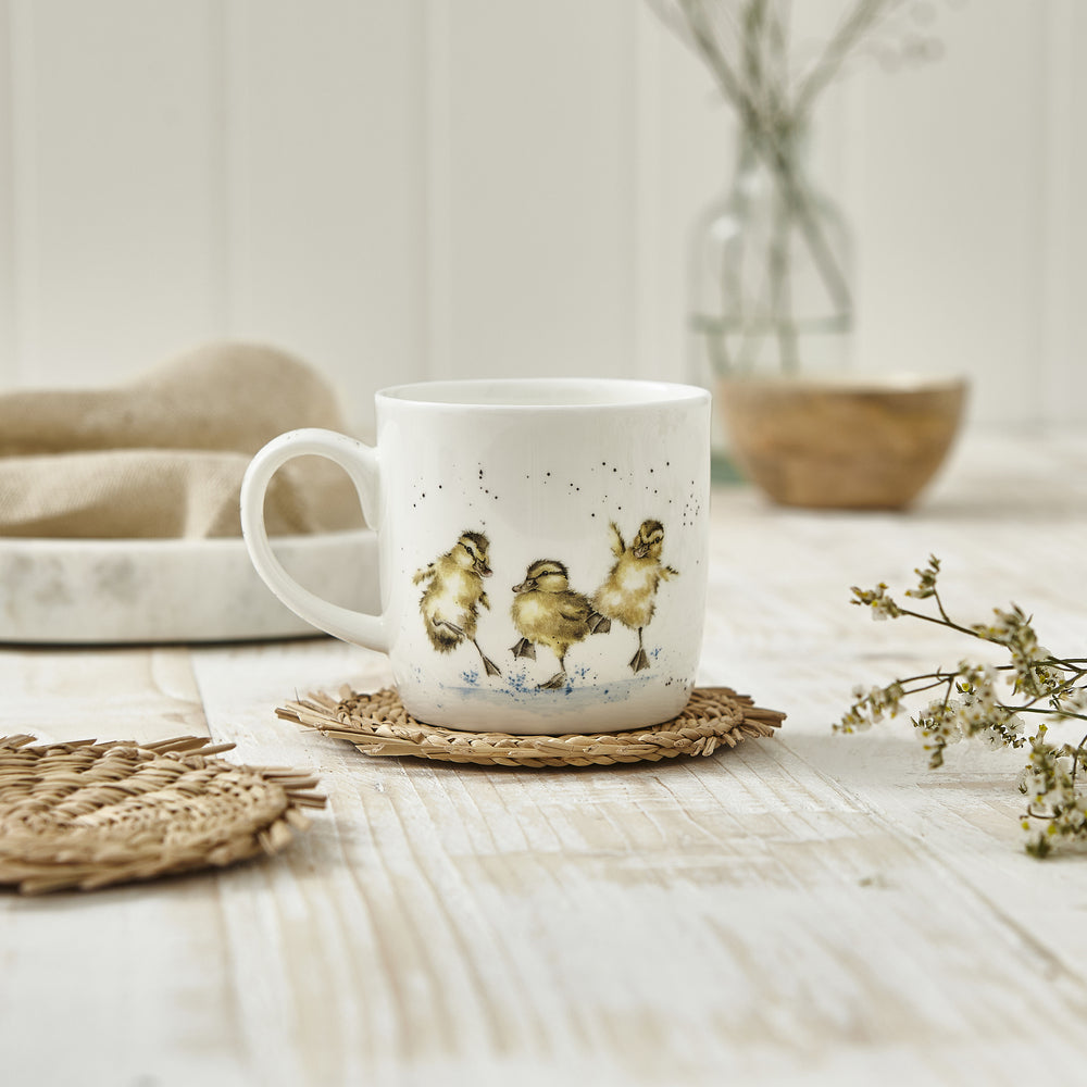 Royal Worcester Wrendale Designs Mug - Ducks