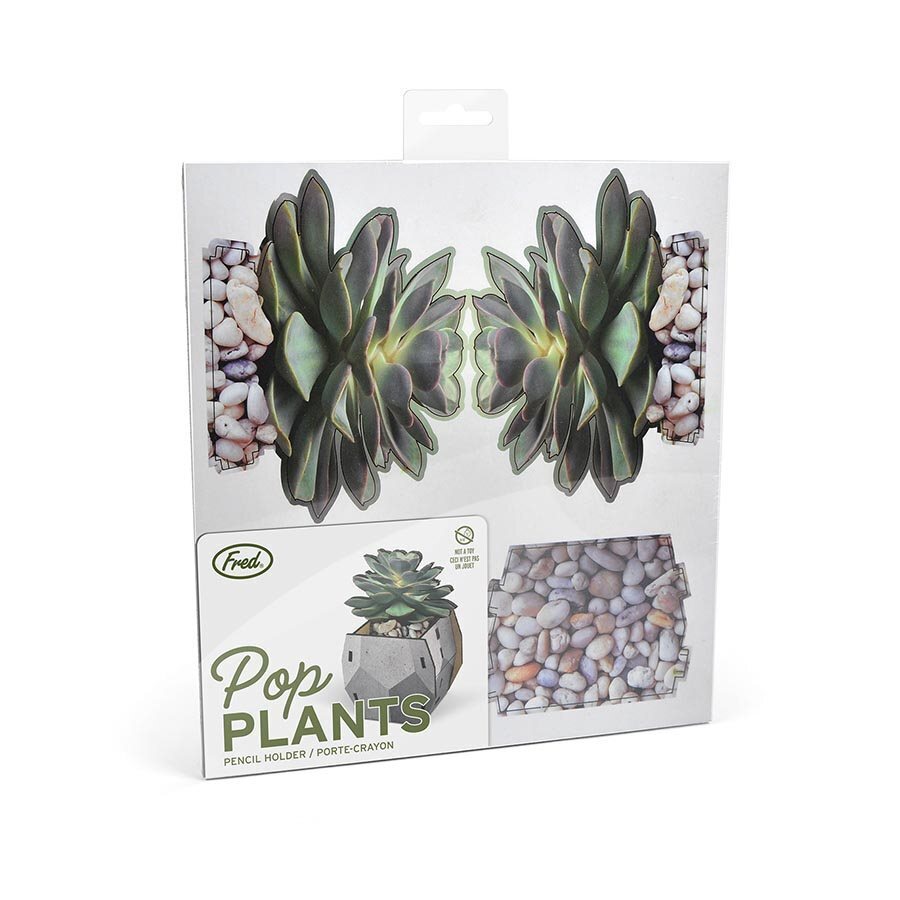 Fred Pop Desk Plants - Echeveria