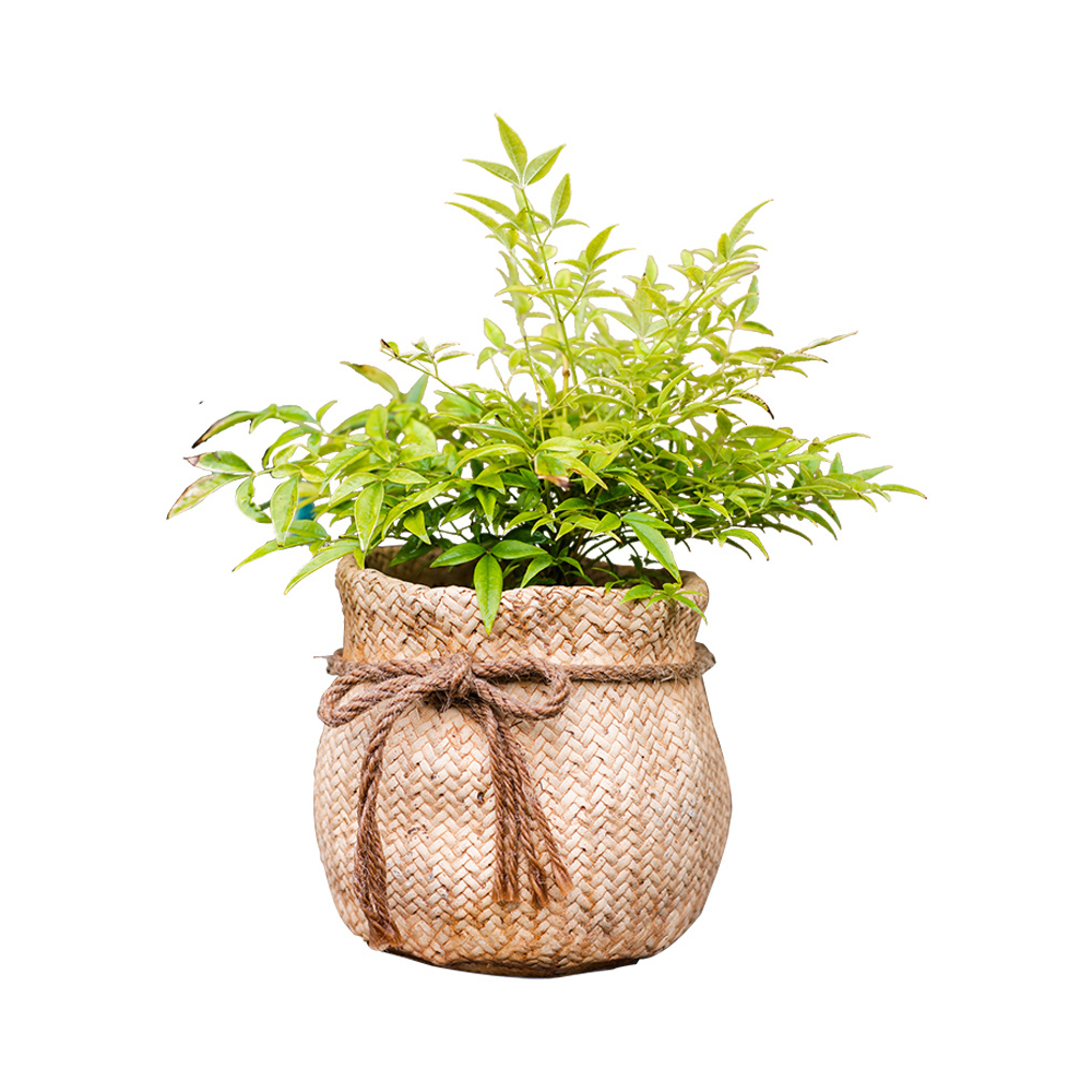 Burlap Bag Look Concrete Planter