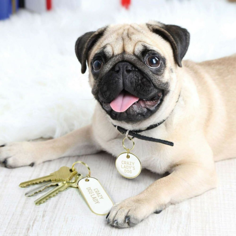 Fred Crazy Dog Lady Keychain and Pet Tag Set