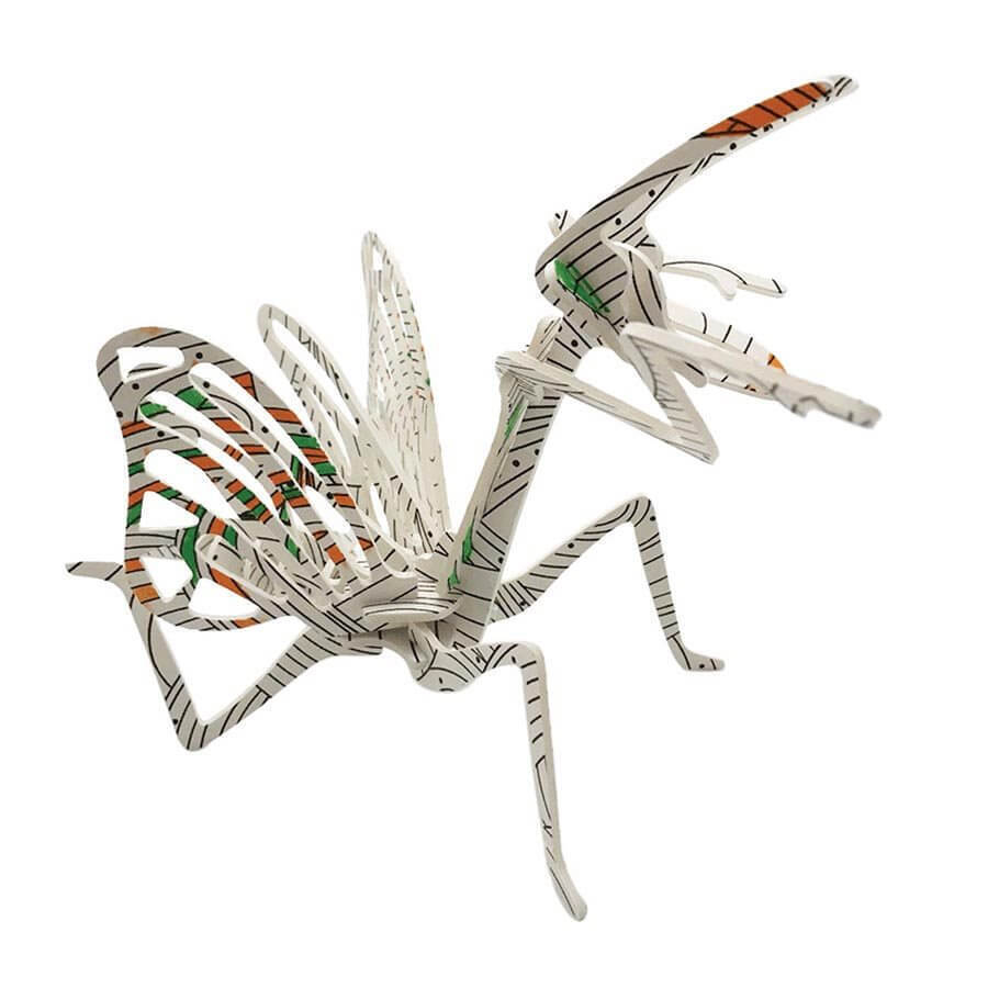 IS Gift Puzzle Book - Insects