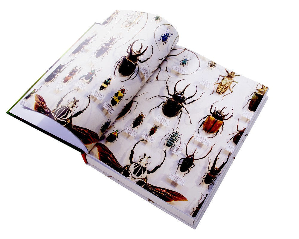 IS Gift Puzzle Book - Insects