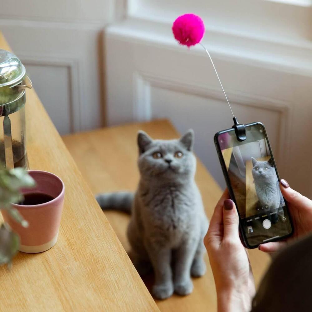 Kikkerland Kitty Phone Clip (Assorted)