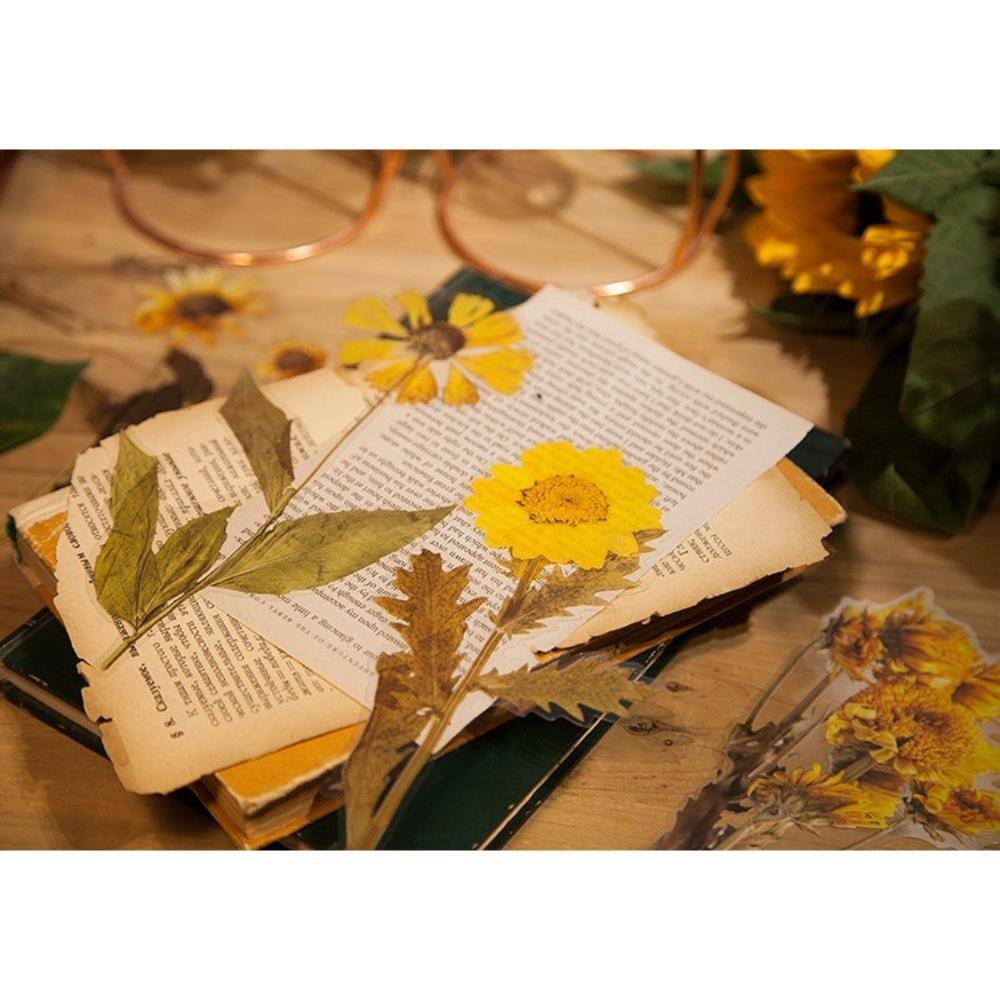 Weekend Flower Shop Large PET Stickers Set of 6 - Sunflowers