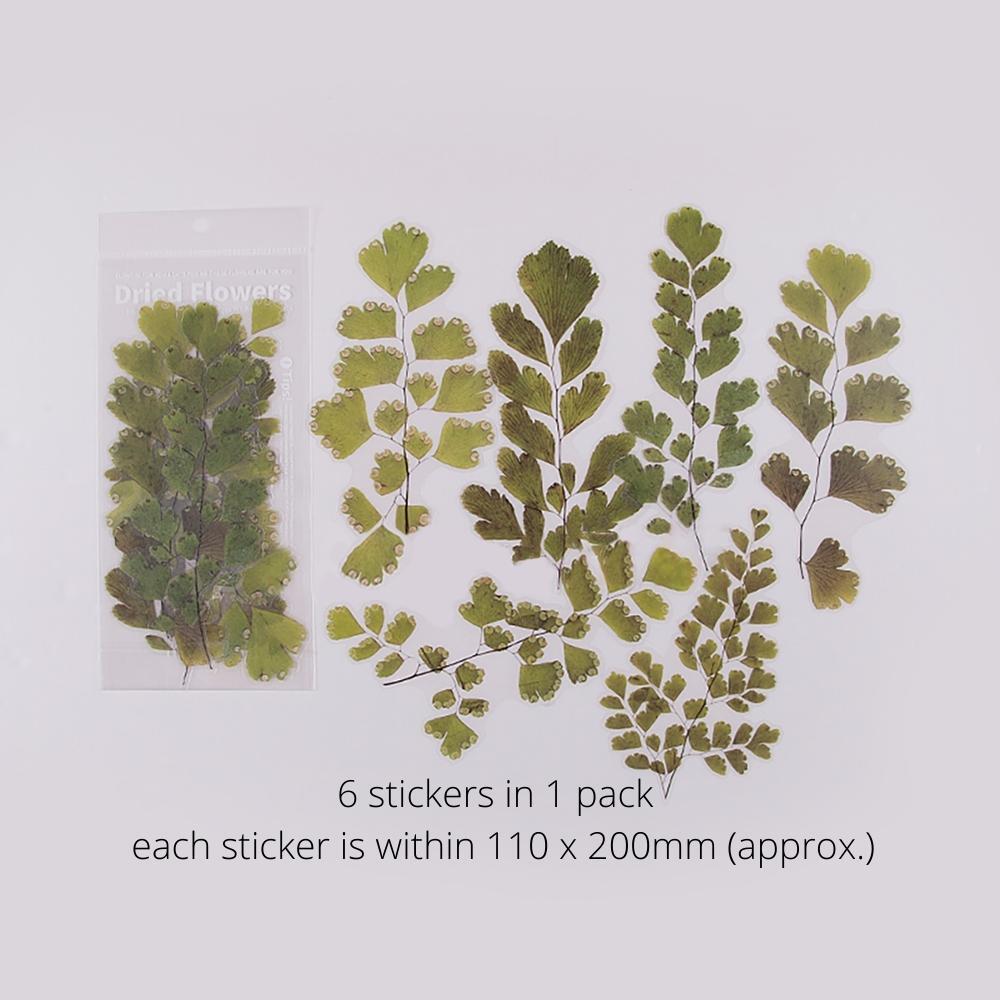 Weekend Flower Shop Large PET Stickers Set of 6 - Greenery
