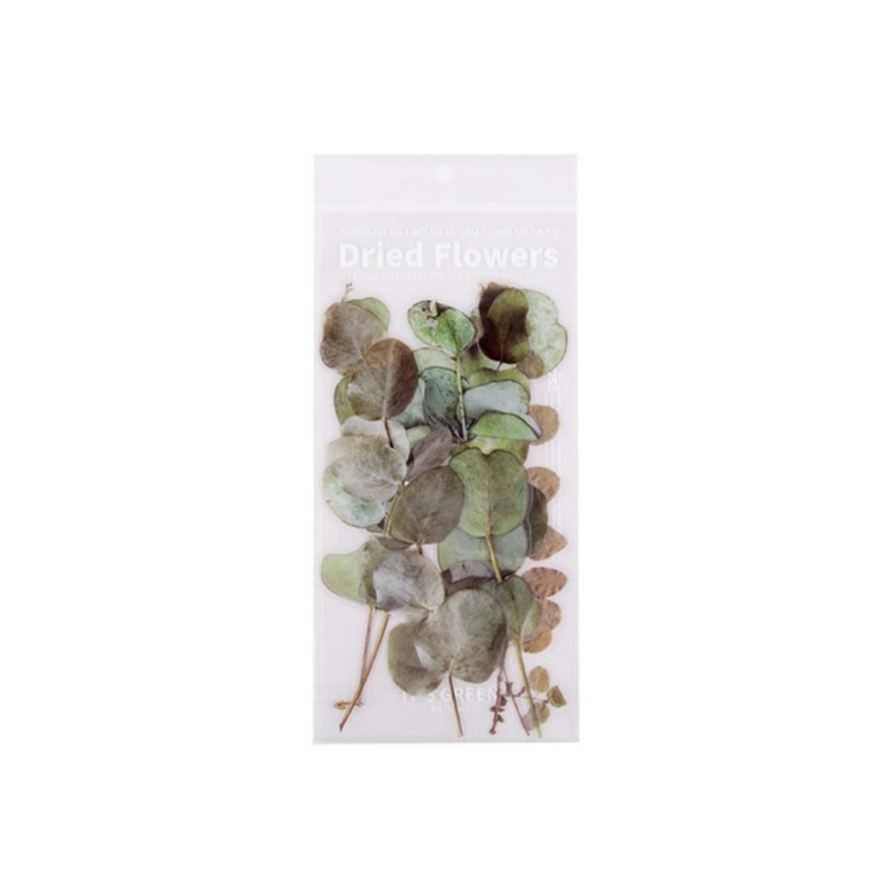 Weekend Flower Shop Large PET Stickers Set of 6 - Eucalyptus