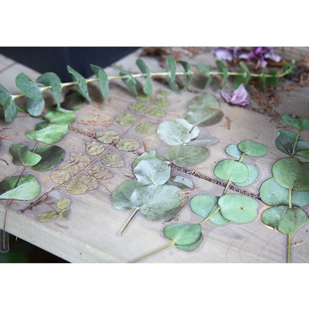 Weekend Flower Shop Large PET Stickers Set of 6 - Eucalyptus