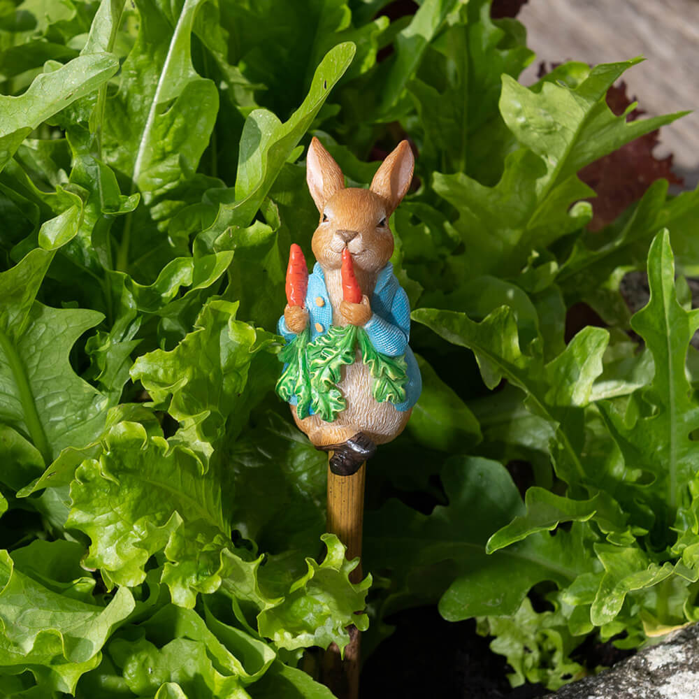 Jardinopia Cane Companion Peter Rabbit Eating Radishes