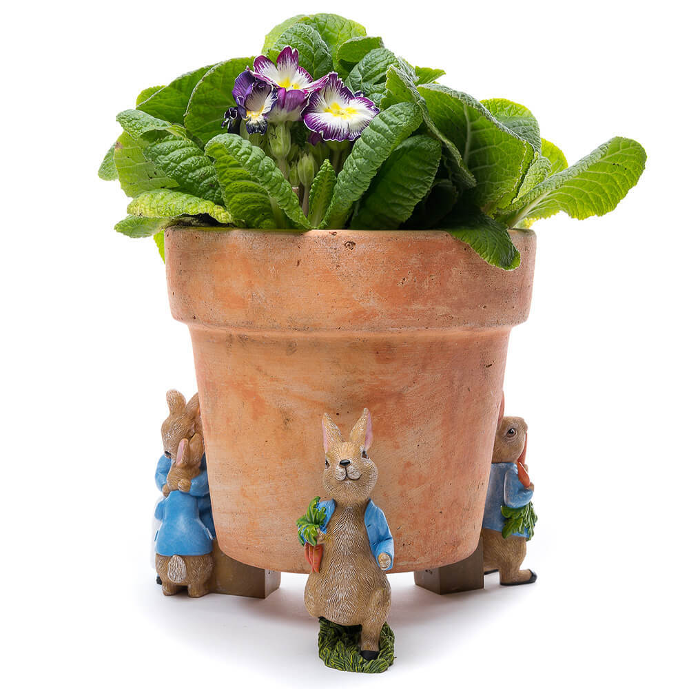 Jardinopia Beatrix Potter Potty Feet Peter Rabbit (Set of 3)