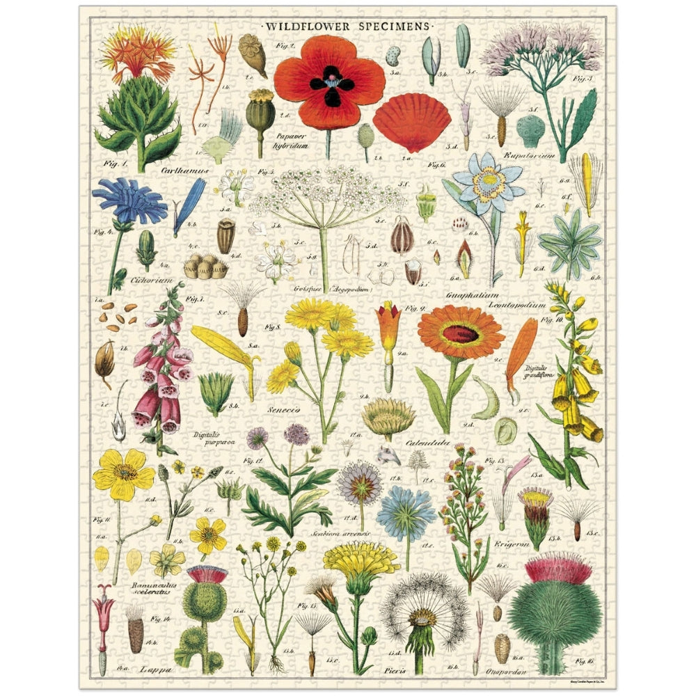 Cavallini Vintage Puzzle Wildflowers 1000 piece