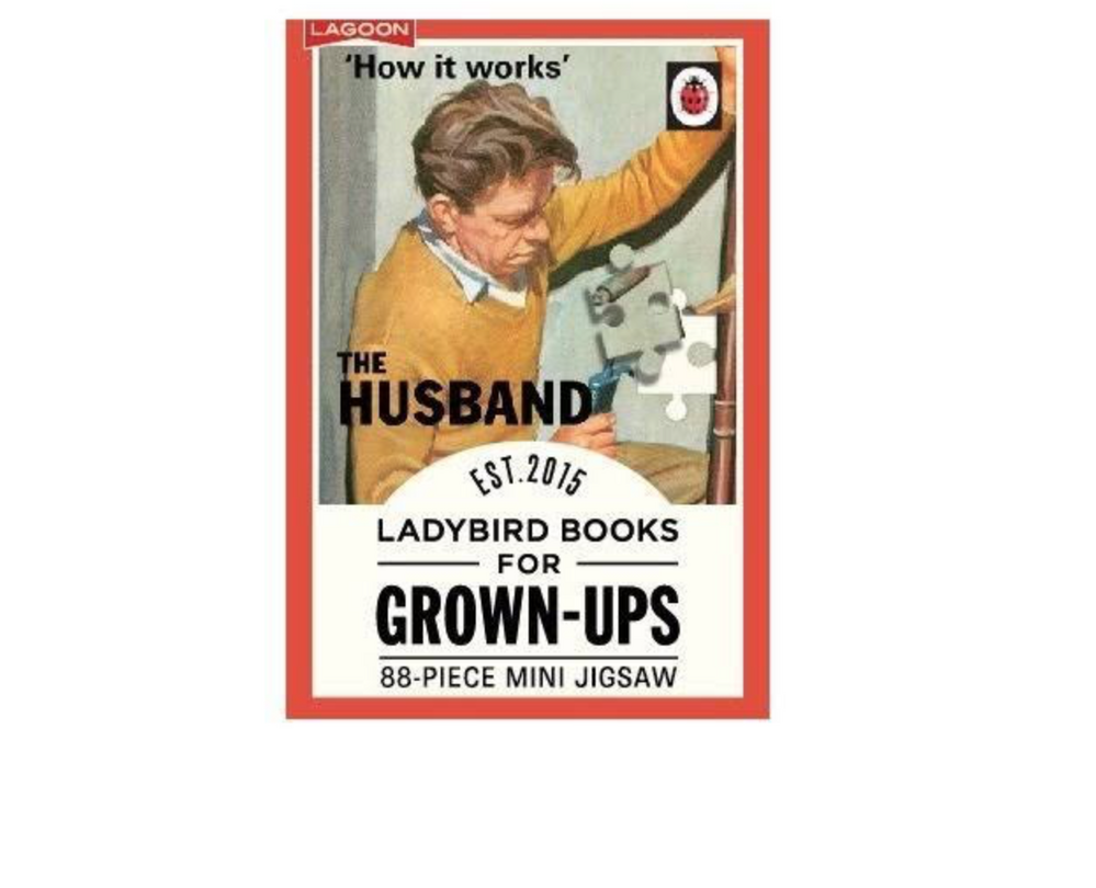 Lagoon Ladybird Vintage Mini Puzzle for Grown Ups - Picture 10 of 13