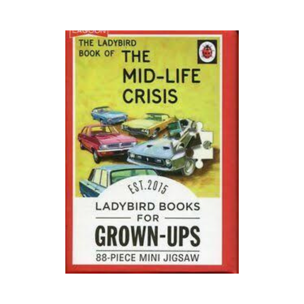 Lagoon Ladybird Vintage Mini Puzzle for Grown Ups - Picture 12 of 13