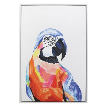 Splosh Bright and Bold Parrot Framed Canvas 64cm