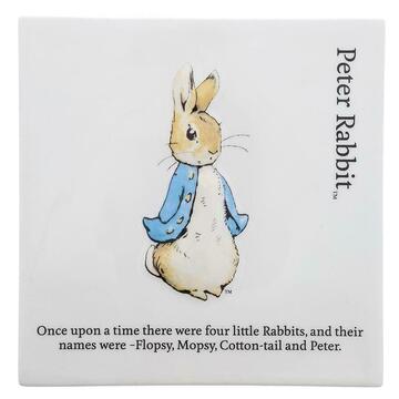 Beatrix Potter Nursery Peter Rabbit Decorative Wall Plaque
