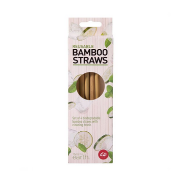 IS Gift Reusable Bamboo Straws (Set of 4)