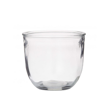 Rogue Clear Glass Fish Bowl Pot 15cm