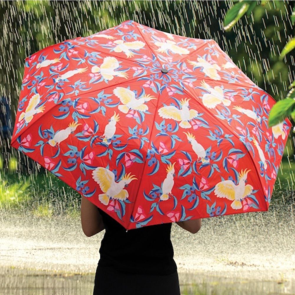 The Australian Collection Compact Foldable Umbrella - Birds (Assorted)