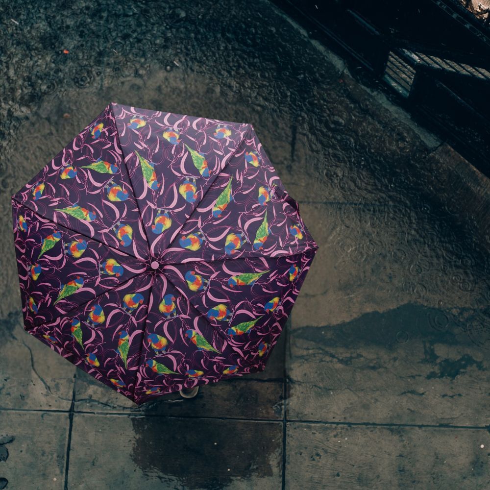 The Australian Collection Compact Foldable Umbrella - Birds (Assorted)
