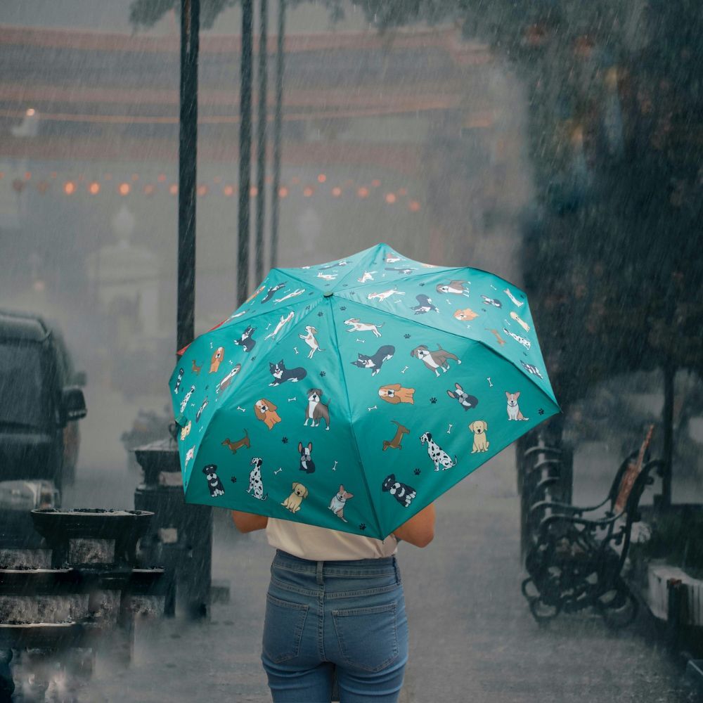 The Dog Collective Compact Foldable Umbrella (Assorted)