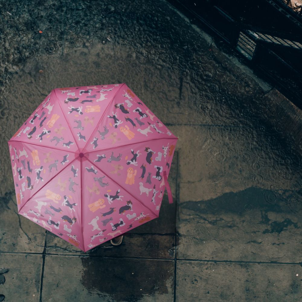 The Dog Collective Compact Foldable Umbrella (Assorted)