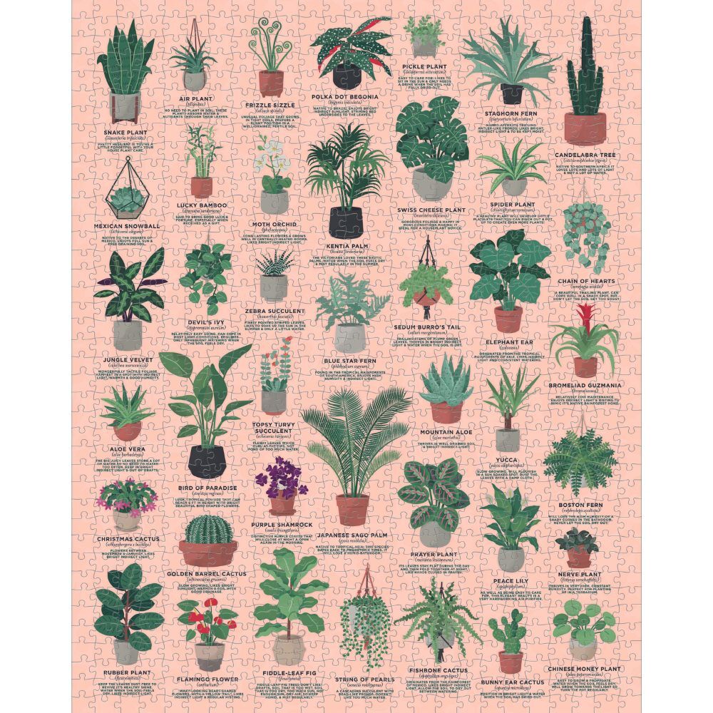 Ridley's House of Plants 1000 Piece Jigsaw Puzzle