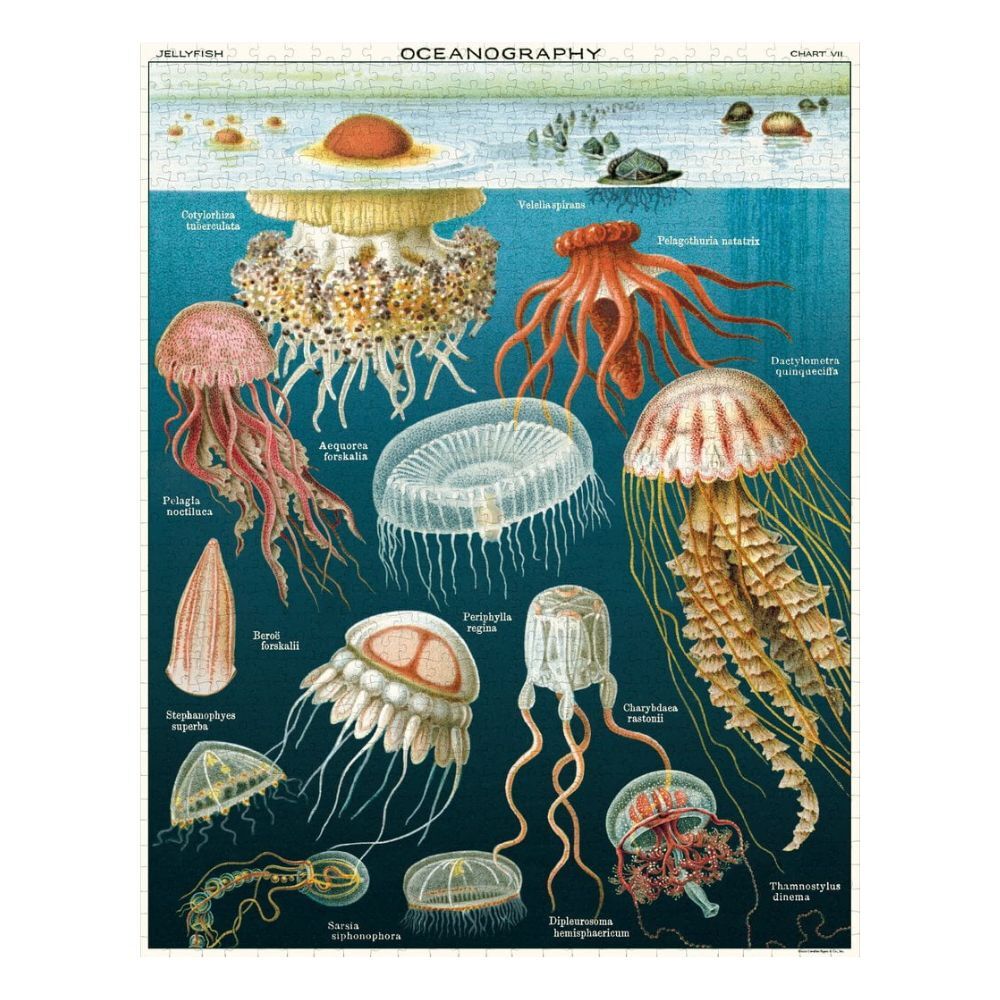 Cavallini Vintage Puzzle Jellyfish 1000 Piece