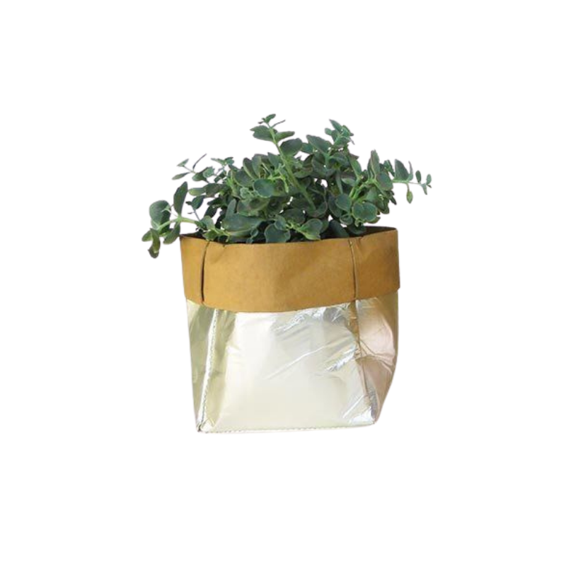 IS Gift Bags of Potential Silver For Plants and Fruits