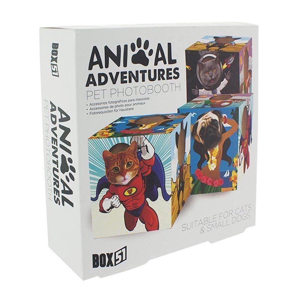 Animal Adventures Pet Photo Booth Frame for Cats and Small Dogs