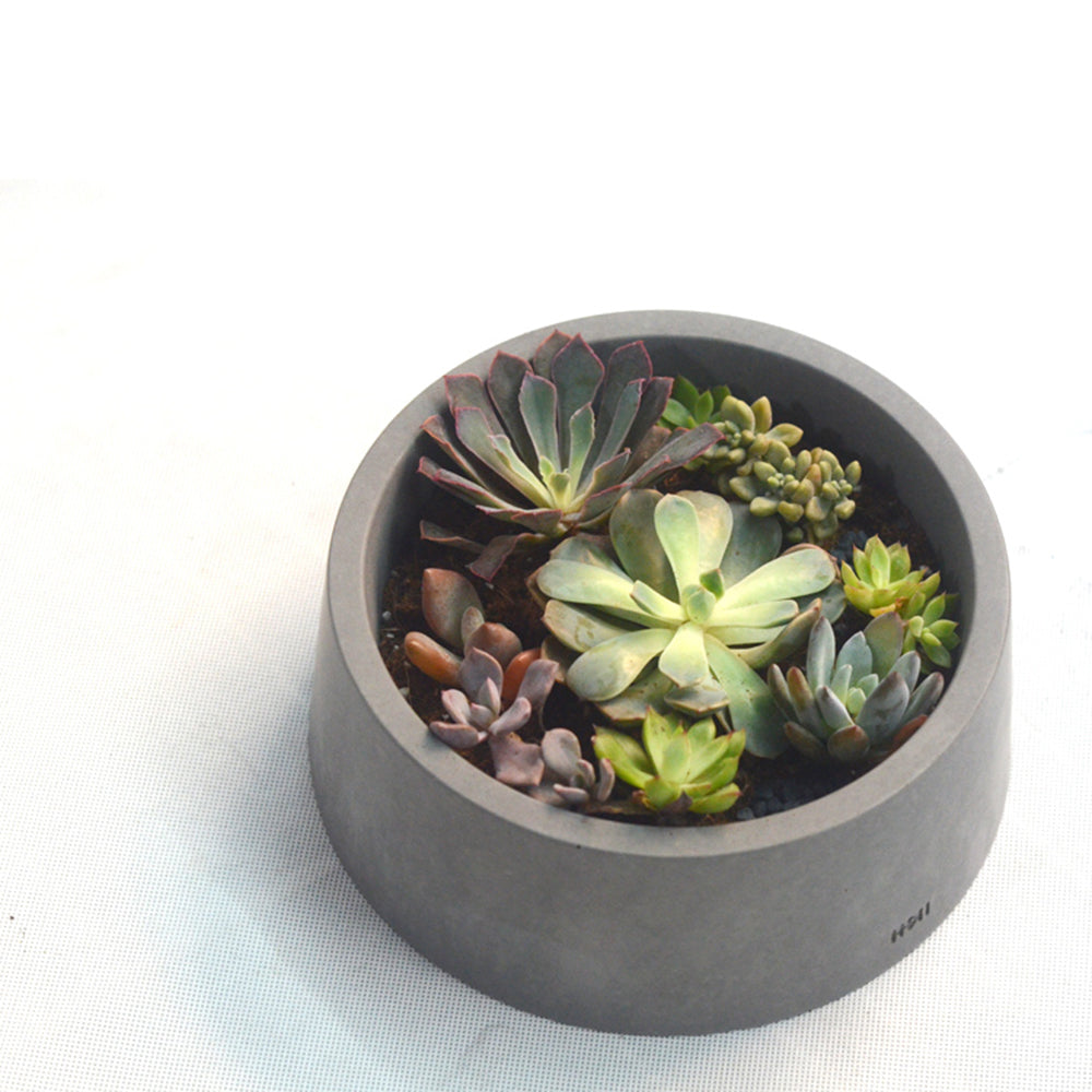 Lune Cement Plant Pot