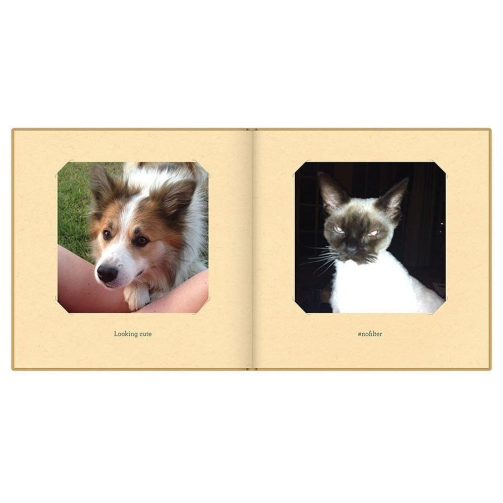 Knock Knock Petsies Photo Album