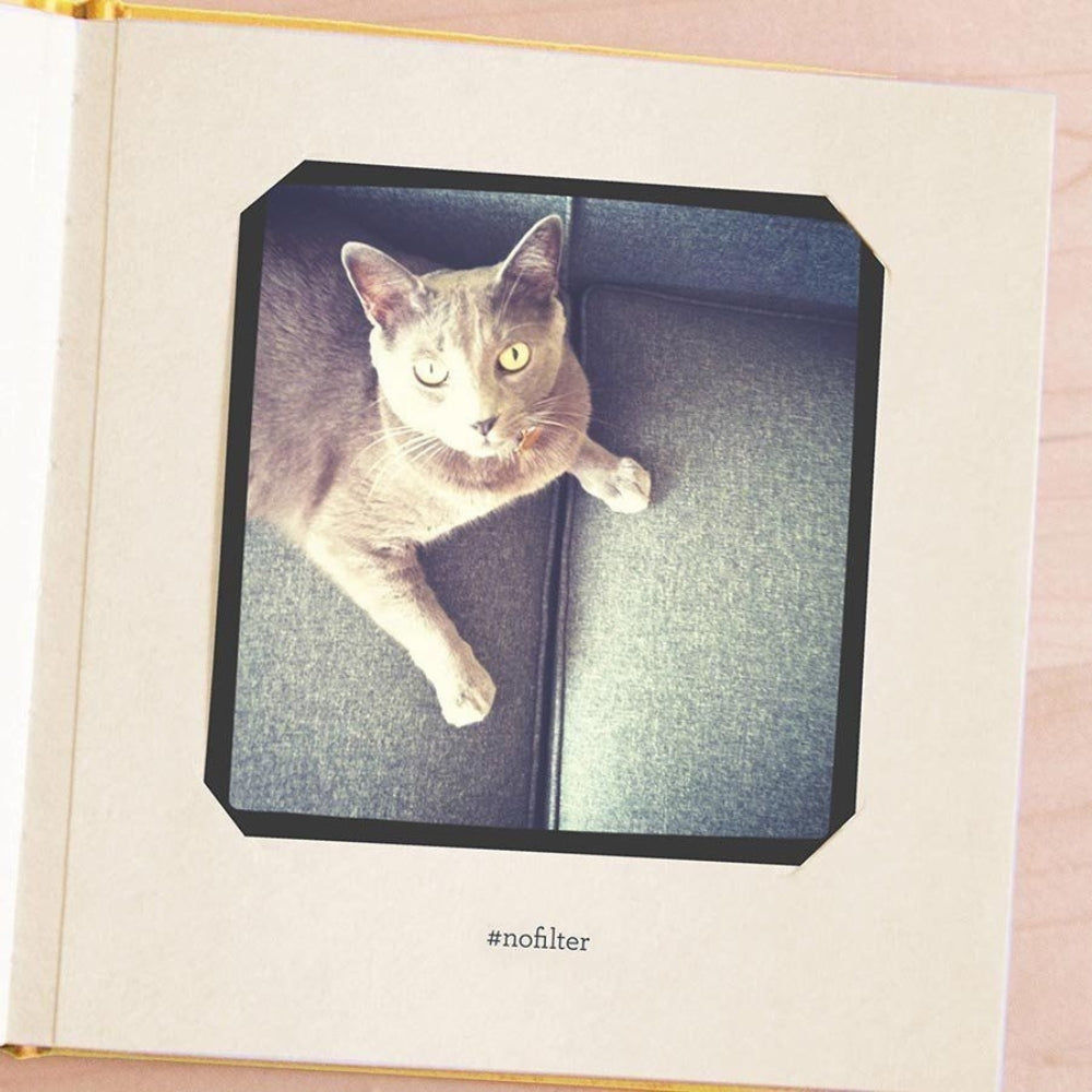 Knock Knock Petsies Photo Album