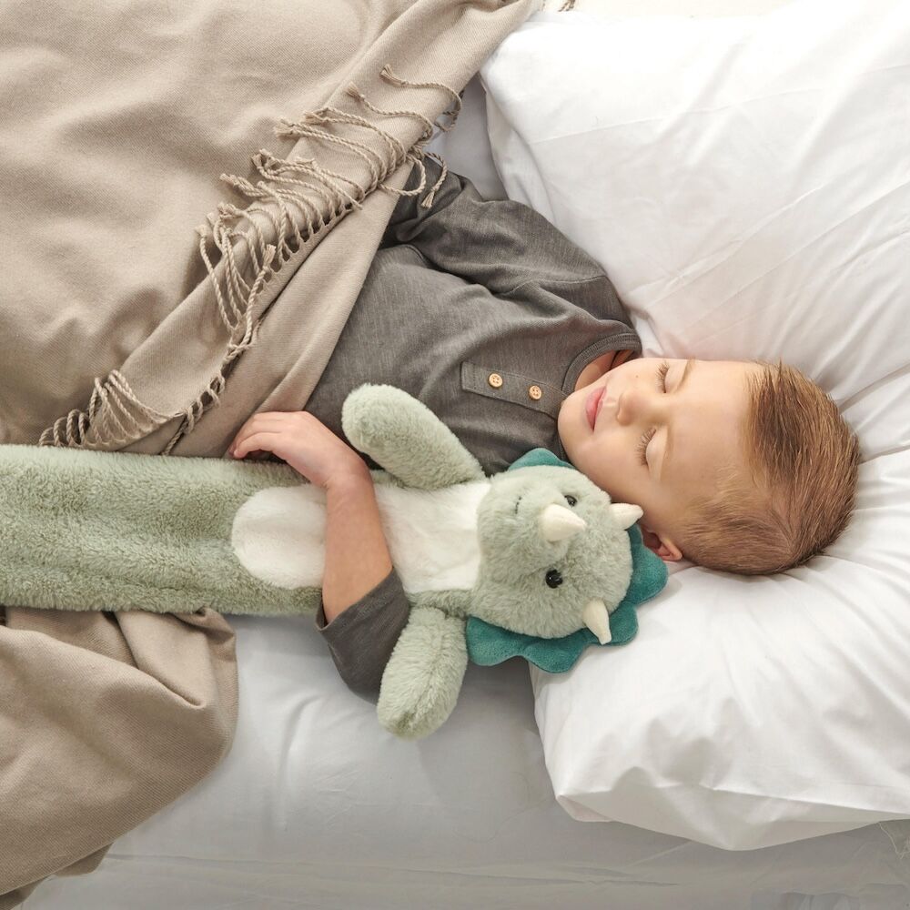 Aroma Home Kids Animal Long Hot Water Bottle - Dino Green