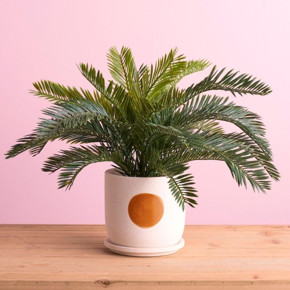 Rogue Rocio Ceramic Pot 19cm Orange/White