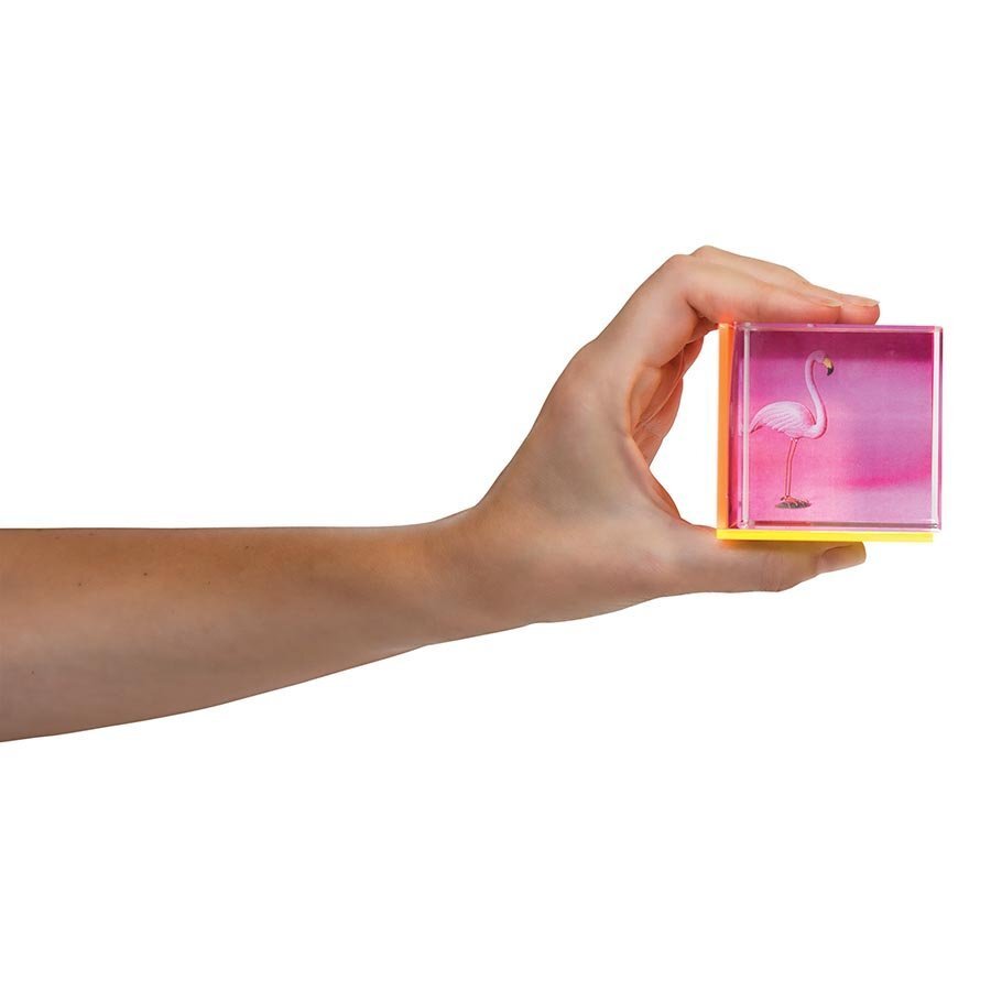 IS Gift Fluoro Highlight Cube Frame Holds 3 Photos