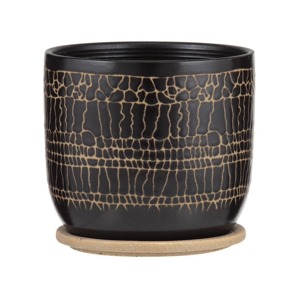 Rogue Vayzen Pot 19cm Black