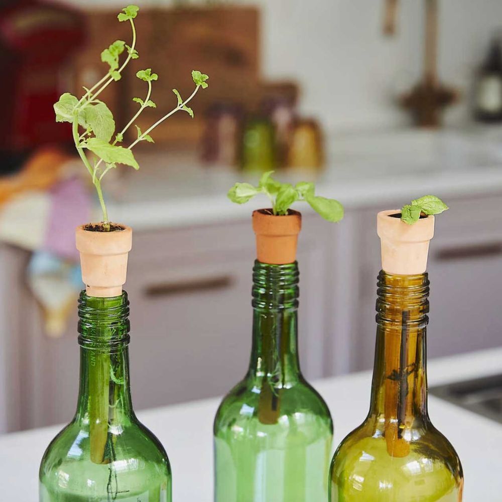 Kikkerland Bottle Top Herb Planters (Set of 3)