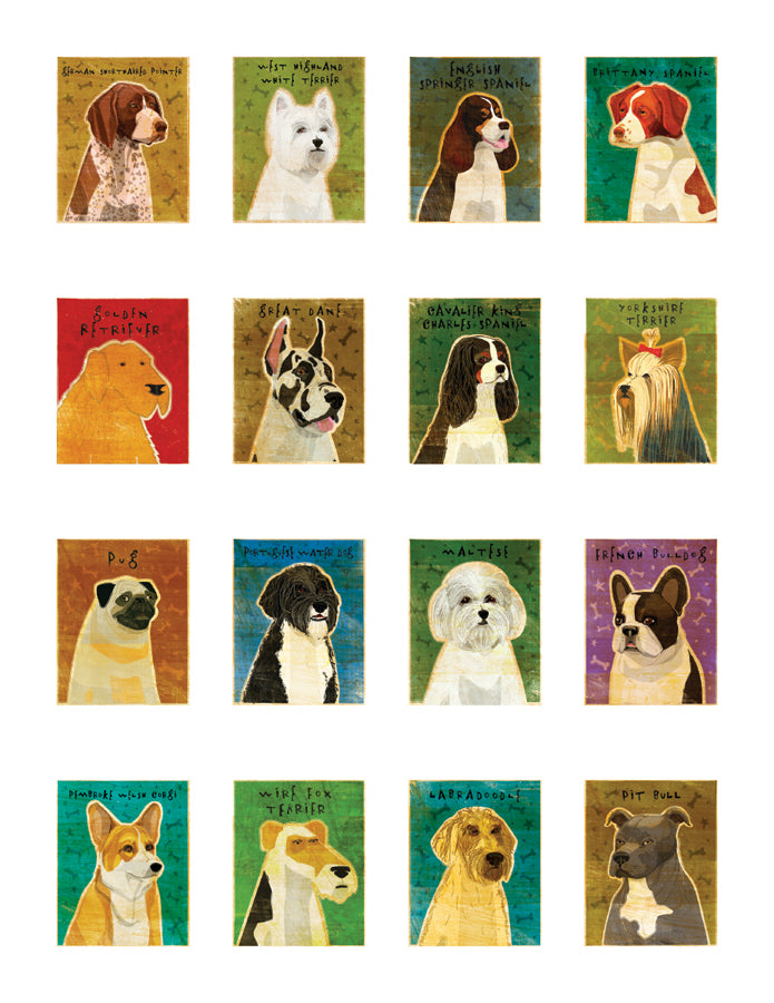 John W Golden S Dogs Sticker Book Paperback