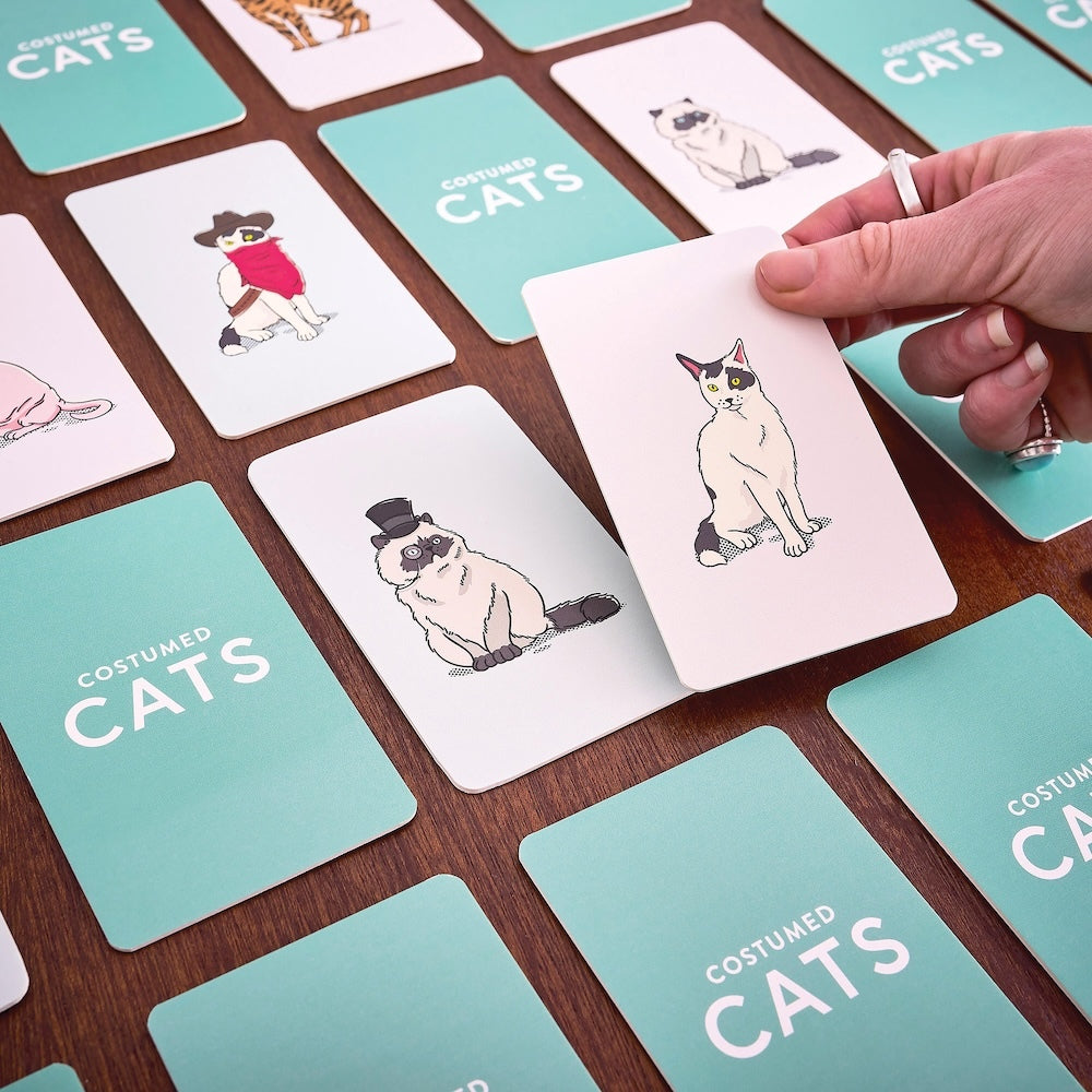 Ridley's Costumed Cats Memory Card Game