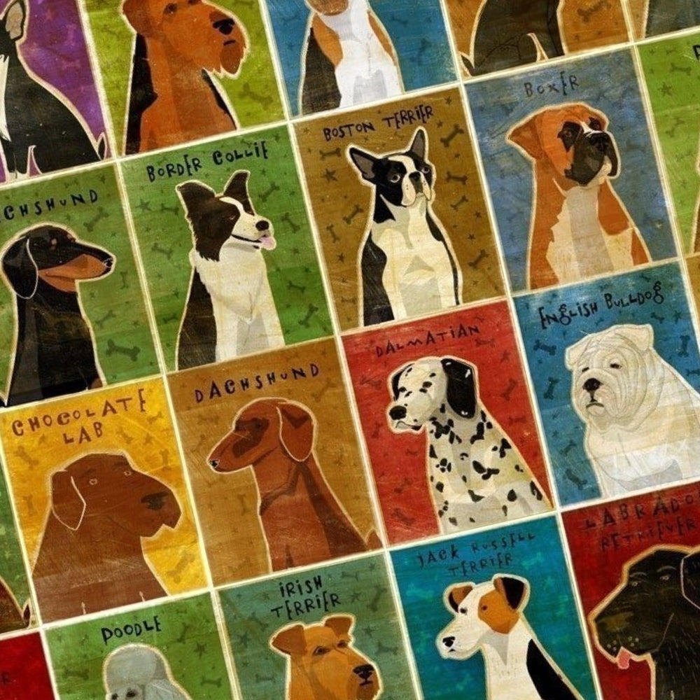 John W Golden 50 Dogs Flash Cards